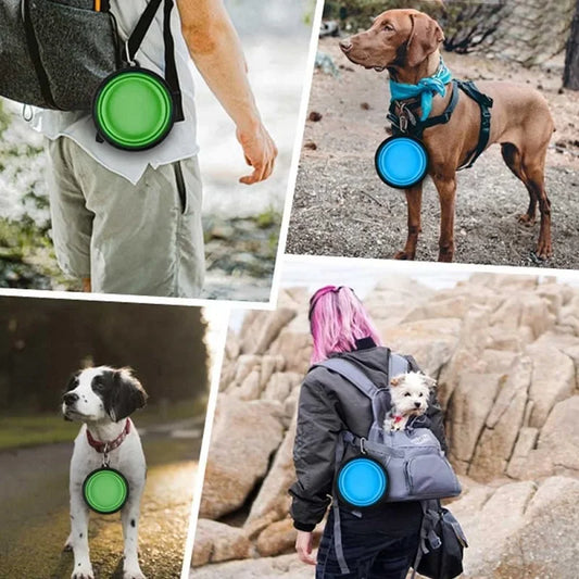 Collapsible Travel Pet Bowl