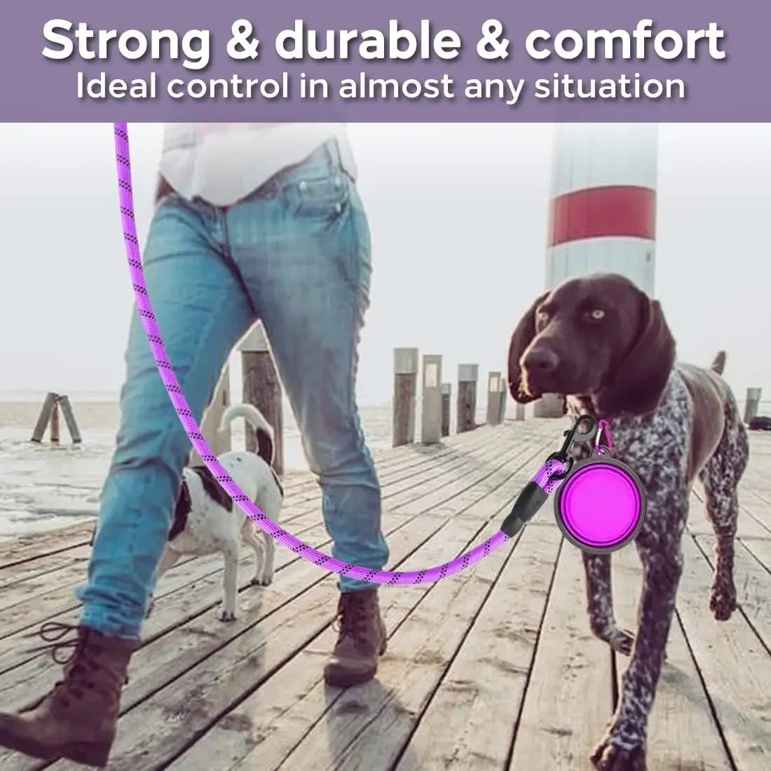 Padded-Handle Reflective Dog Leash
