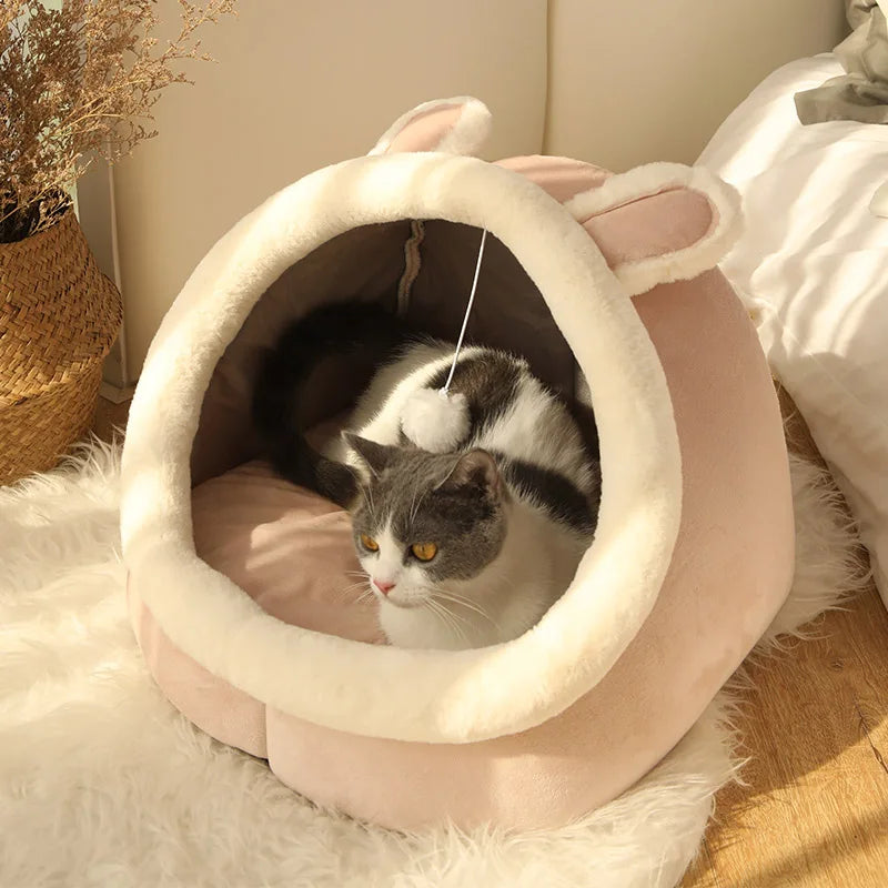 Foldable, Removable and Washable Pet Bed