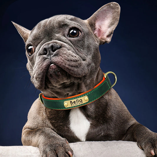 Personalized Leather Dog Collar with Engraved ID Tag