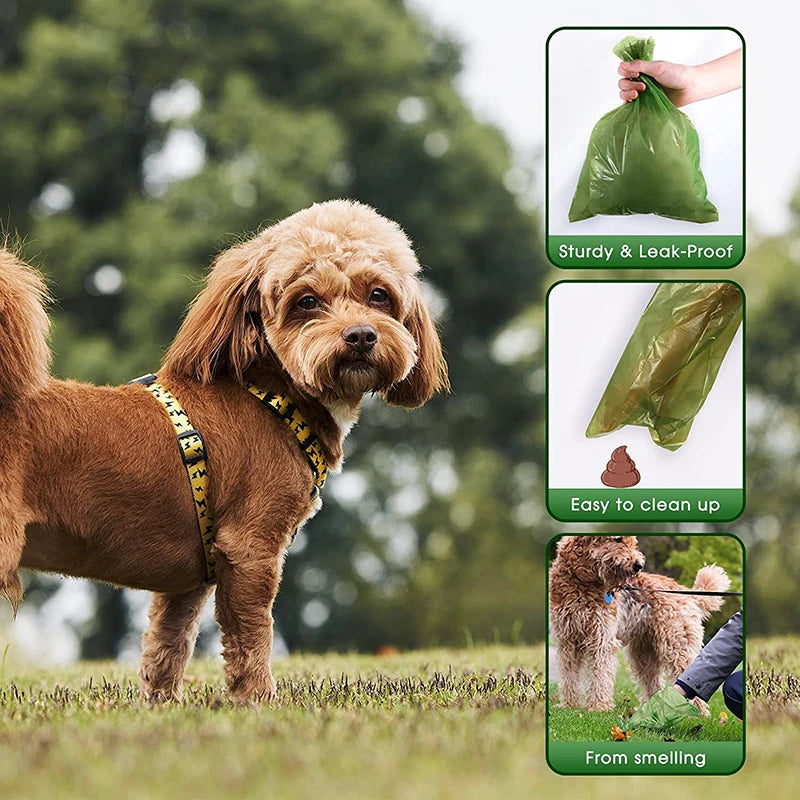 Earth-Friendly Dog Poop Bags