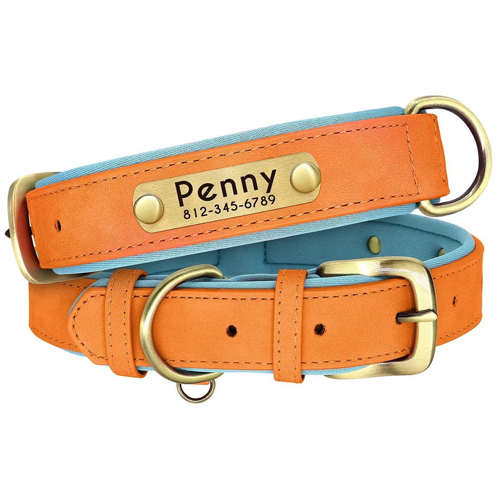 Personalized Leather Dog Collar with Engraved ID Tag