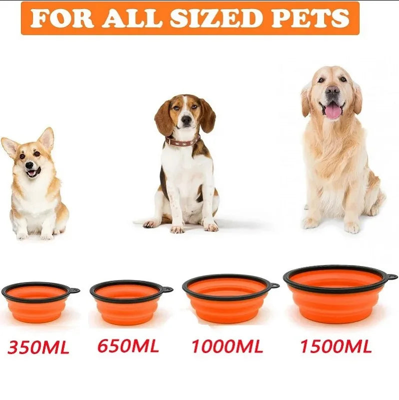 Collapsible Travel Pet Bowl