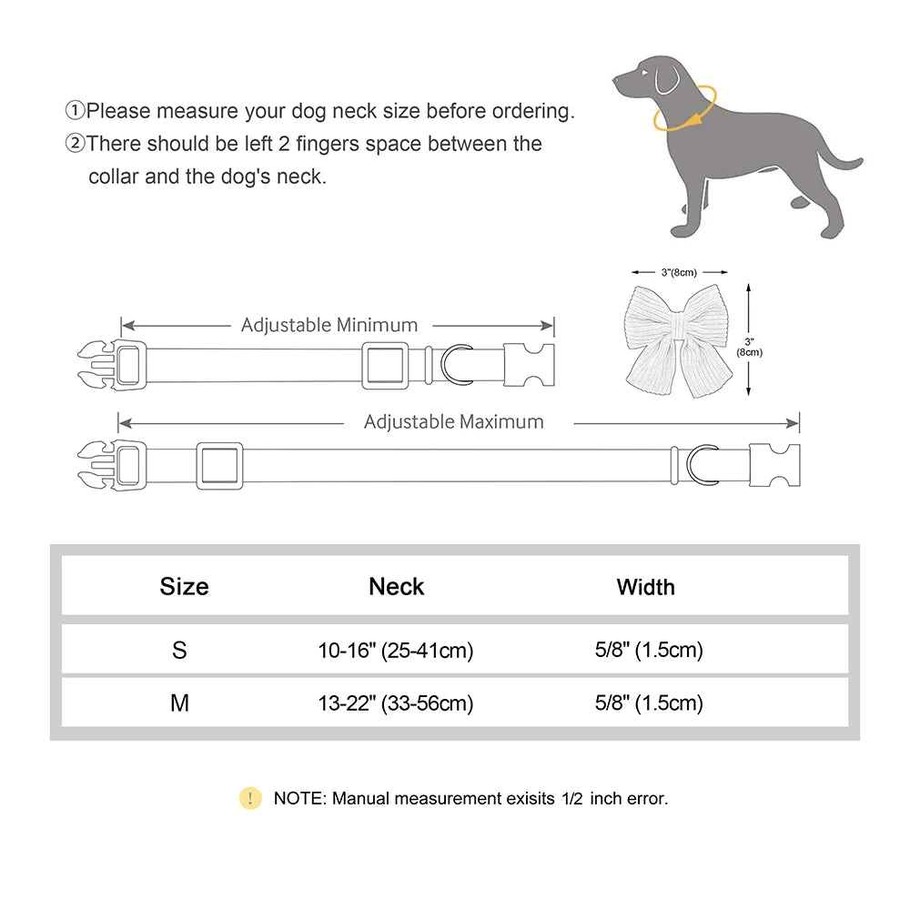 Personalized Dog Collar.