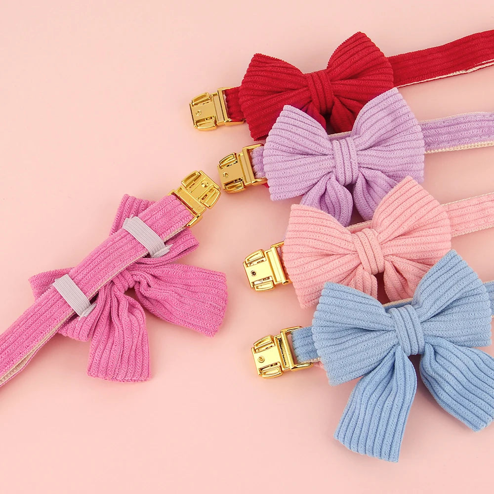 Personalized Dog Collar.