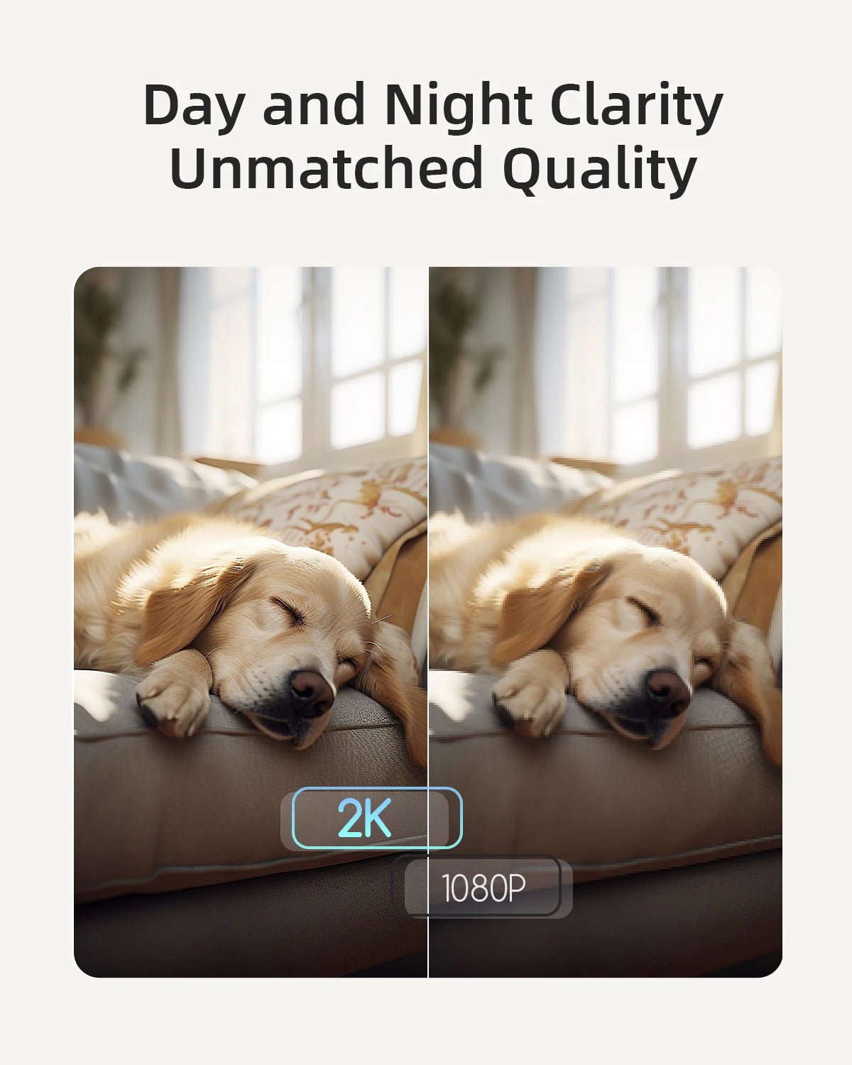 App Controlled. 2k/5gz Portable Camera.
