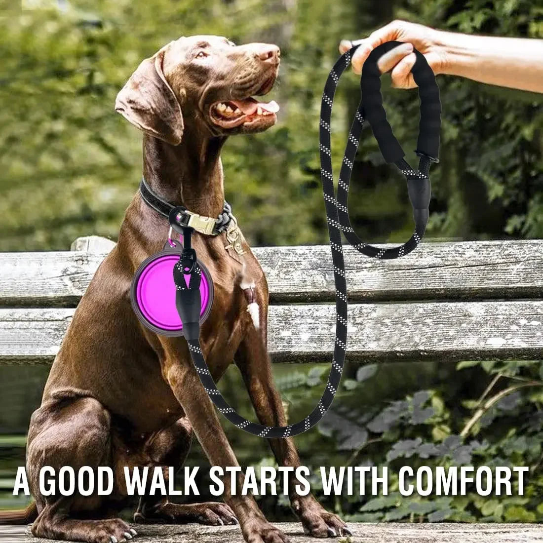 Padded-Handle Reflective Dog Leash